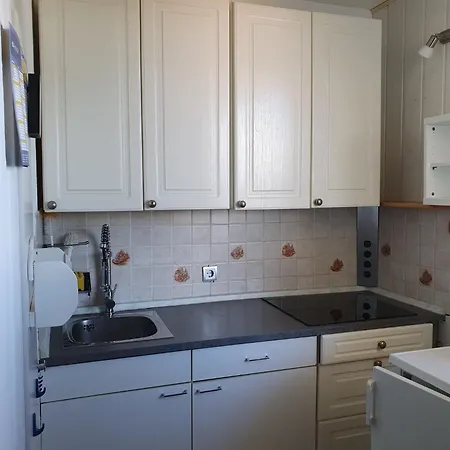 Panoramic View Harz Apartmán