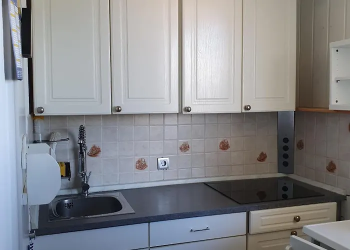 Panoramic View Harz Appartement